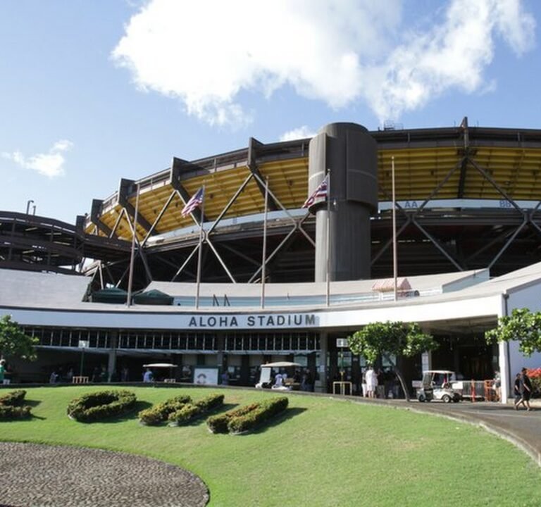 Soccer Field image 2