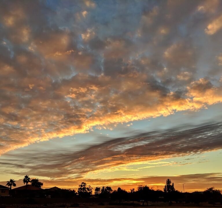 Soccer Field image 3