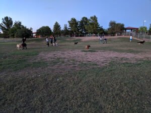 Soccer Field image 1