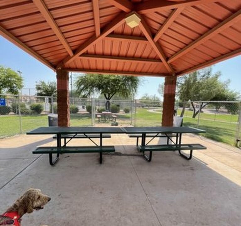 Soccer Field image 2