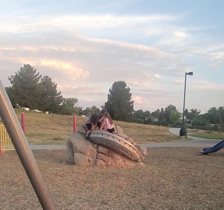 Soccer Field image 4
