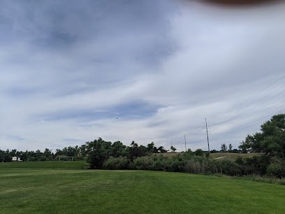 Soccer Field image 1