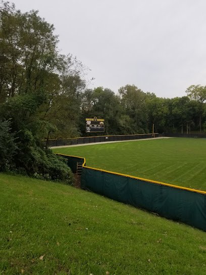 Soccer Field image 1