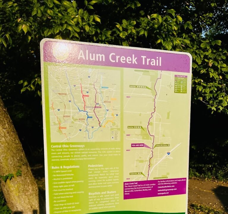 Soccer Field image 3