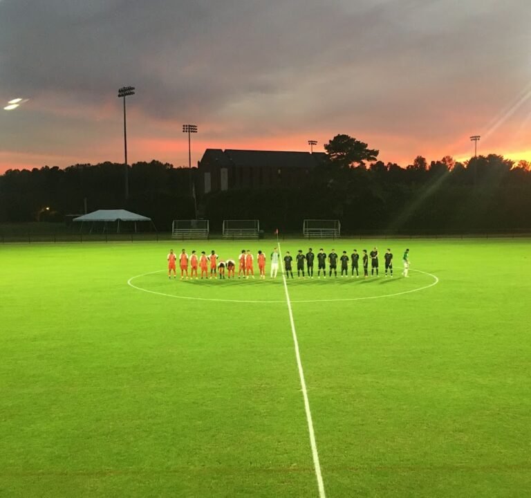 Soccer Field image 3