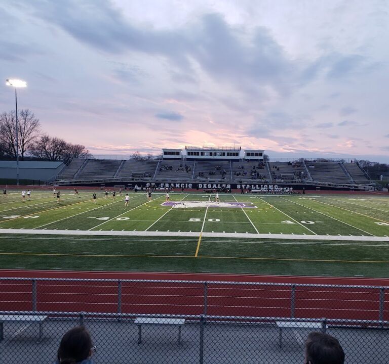 Soccer Field image 2