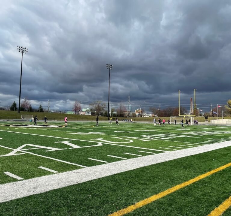Soccer Field image 2