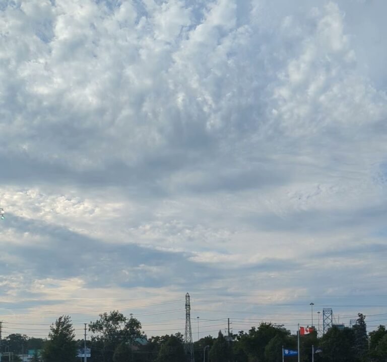 Soccer Field image 3