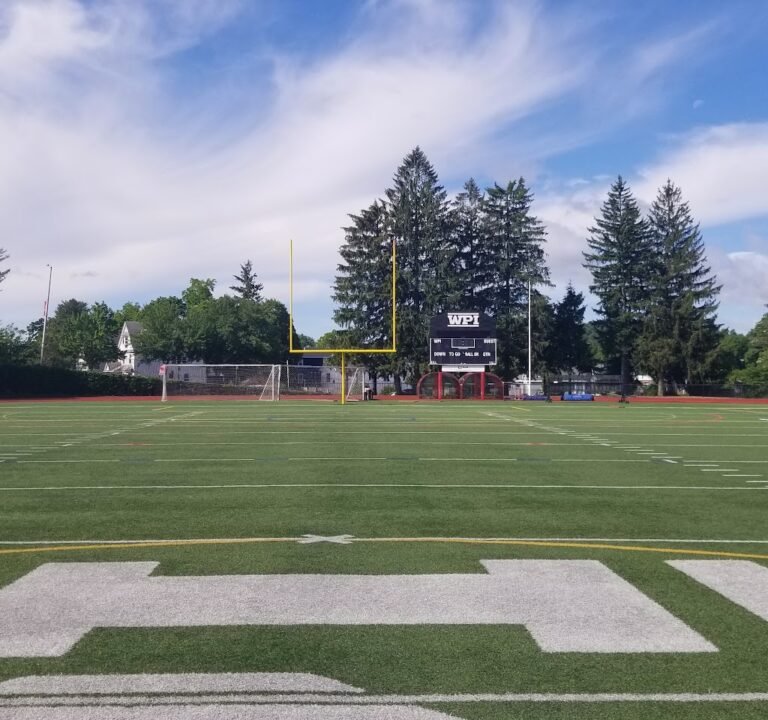 Soccer Field image 2