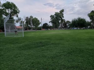 Soccer Field image 1