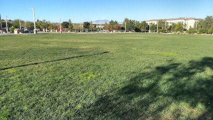 Soccer Field image 1