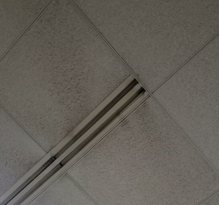 Soccer Field image 4