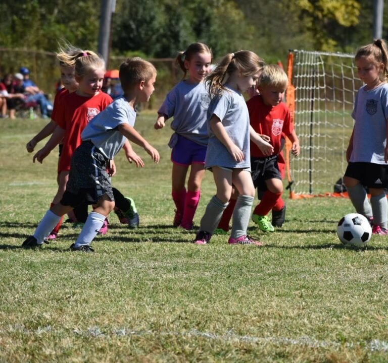 Soccer Field image 3