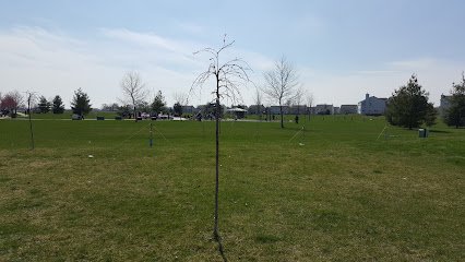 Soccer Field image 1