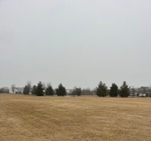Soccer Field image 3