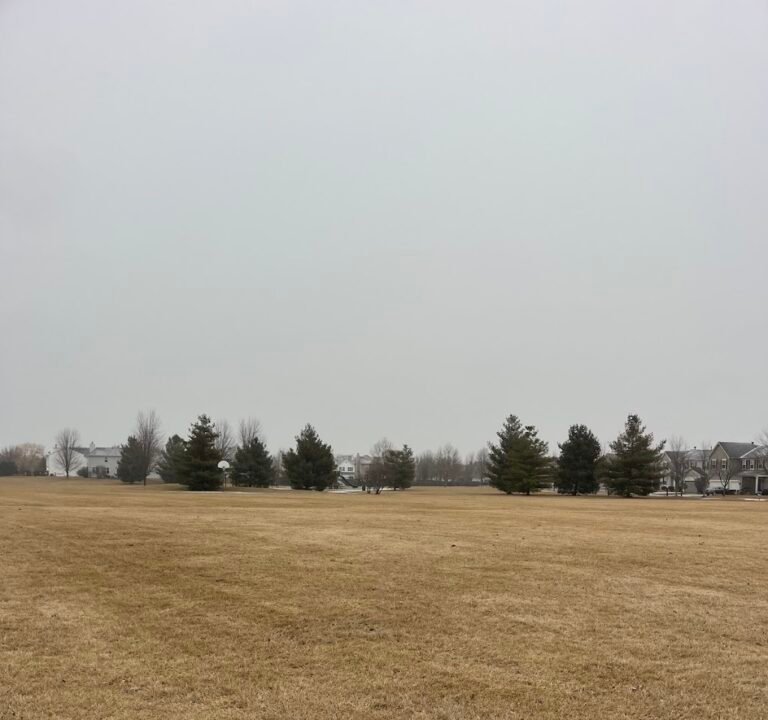 Soccer Field image 3