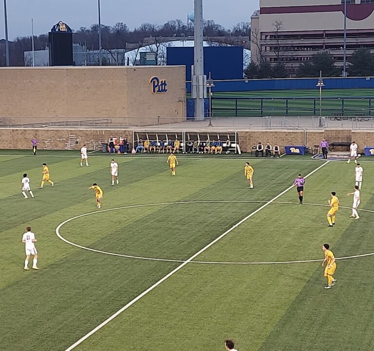 Soccer Field image 3