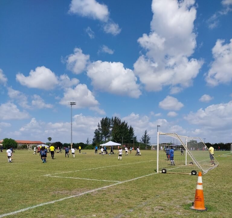 Soccer Field image 2