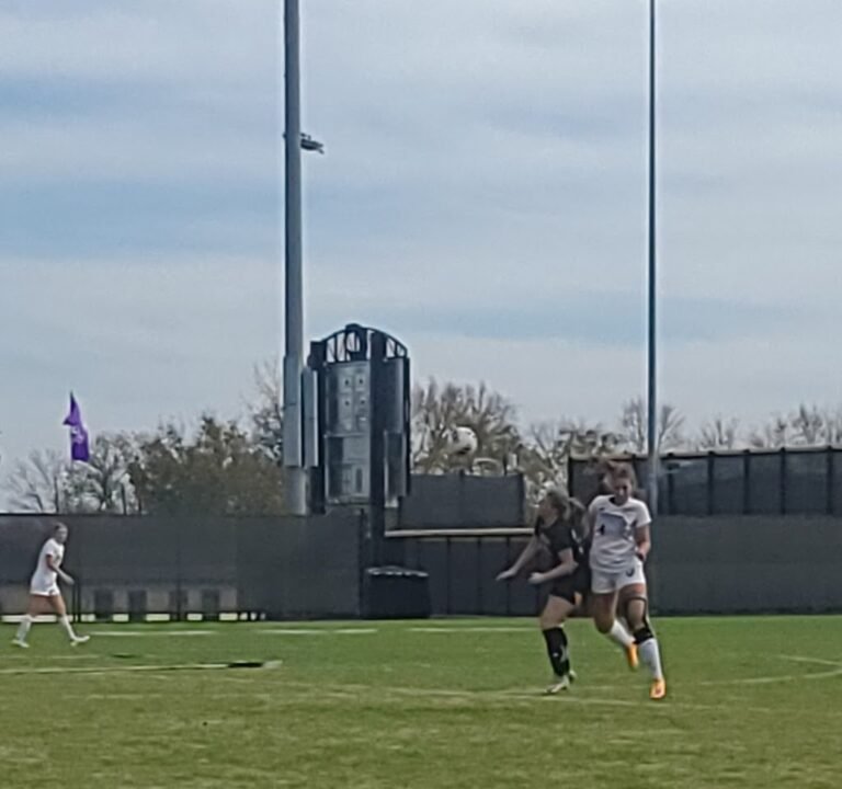 Soccer Field image 3