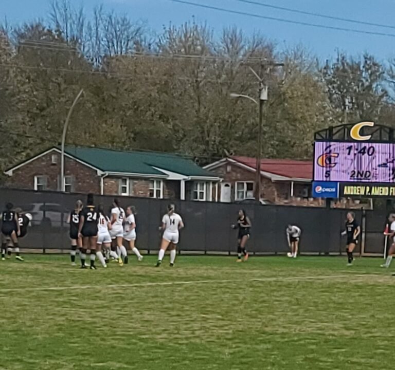 Soccer Field image 2