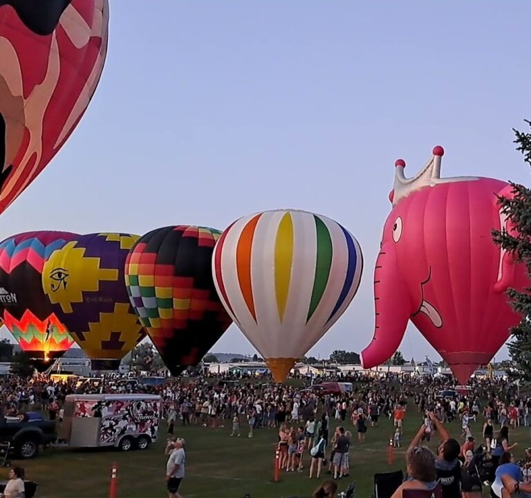 Soccer Field image 4