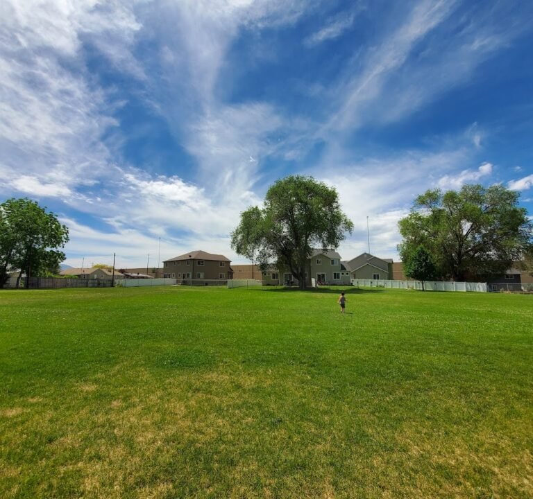 Soccer Field image 2