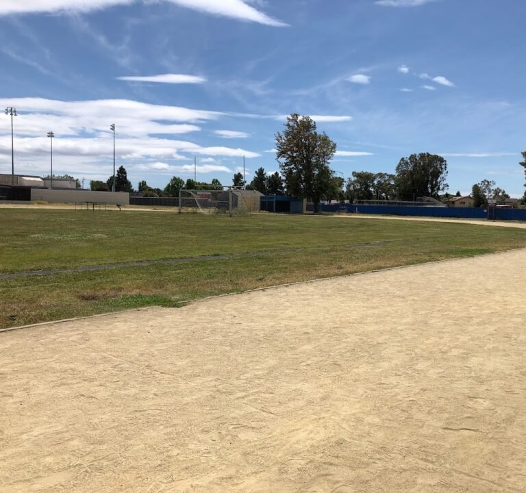 Soccer Field image 2