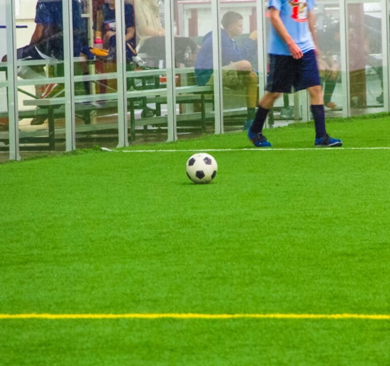 Soccer Field image 3