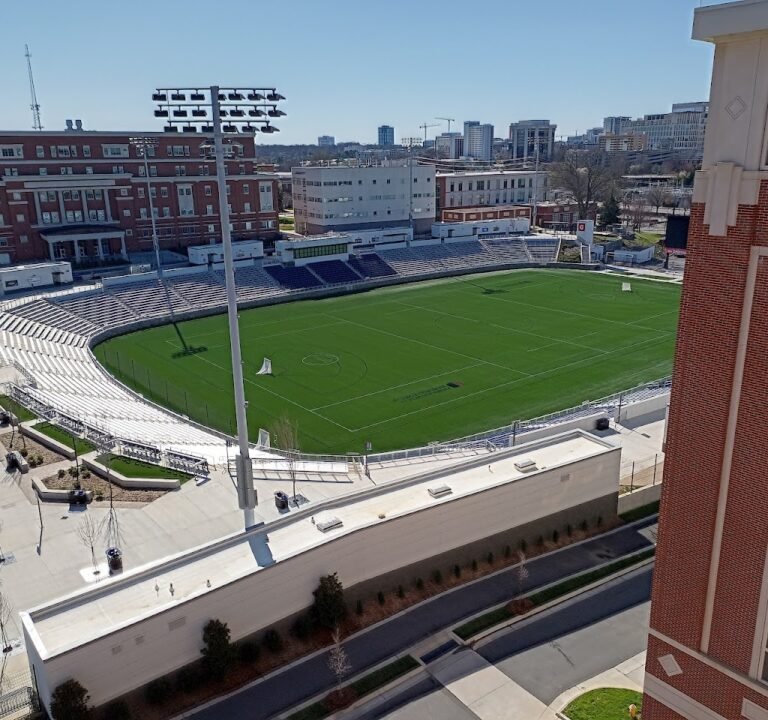 Soccer Field image 2