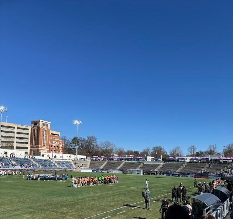 Soccer Field image 3