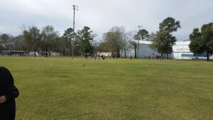 Soccer Field image 1