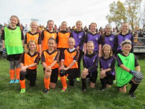 Soccer Field image 1