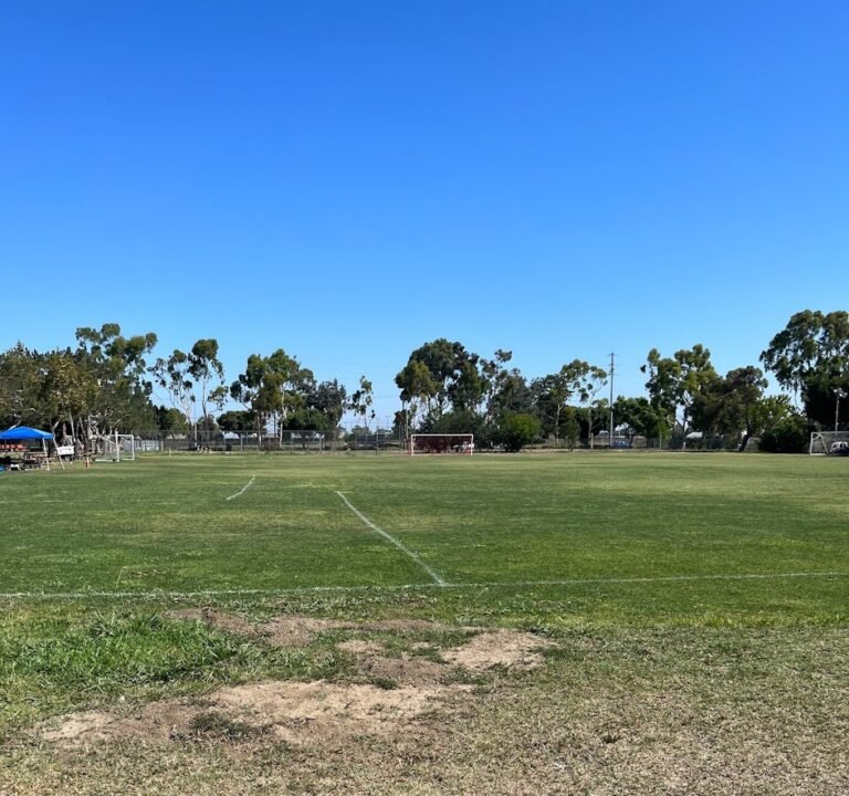 Soccer Field image 2