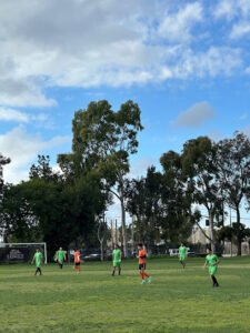 Soccer Field image 1