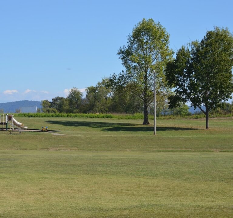 Soccer Field image 3