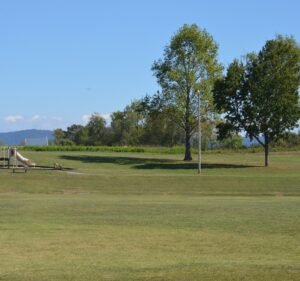Soccer Field image 2