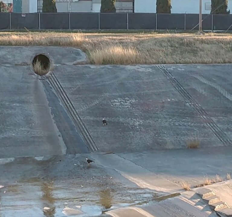 Soccer Field image 3