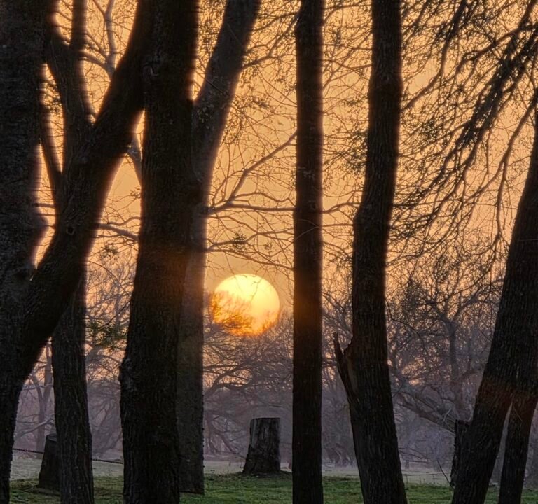 Soccer Field image 3