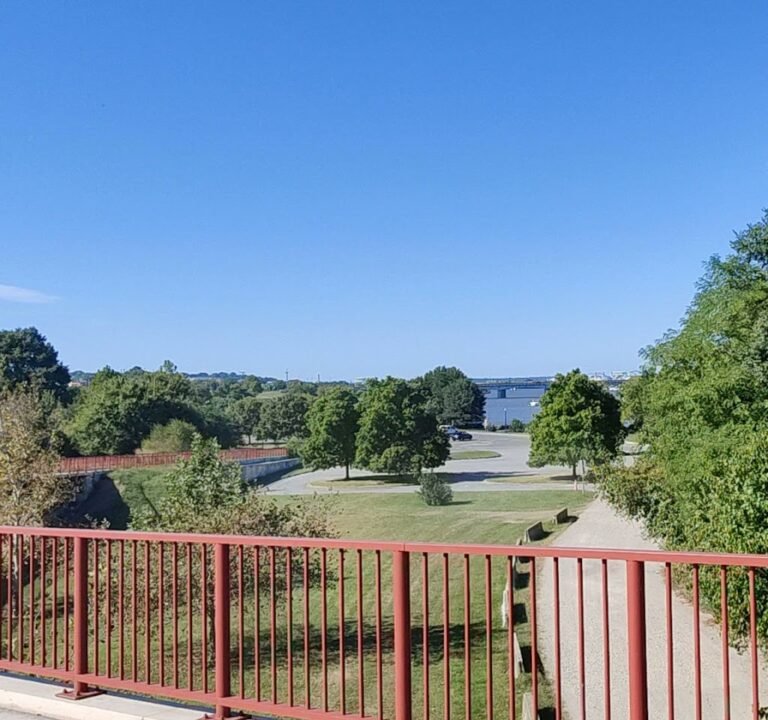 Soccer Field image 2