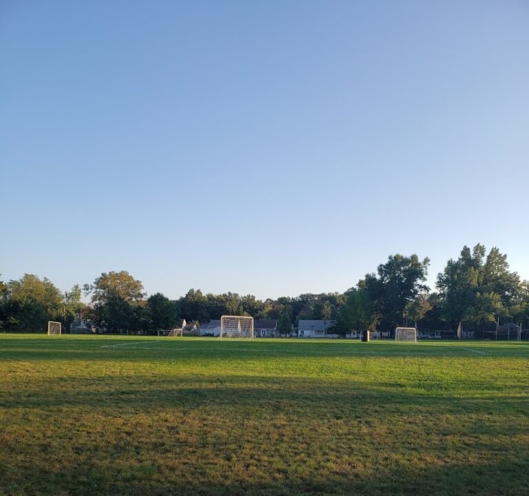 Soccer Field image 2