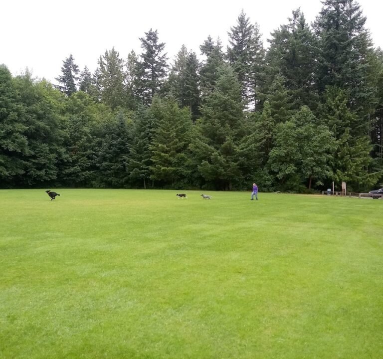 Soccer Field image 2