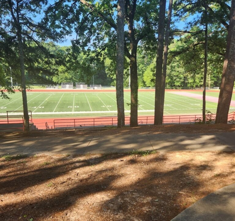 Soccer Field image 2