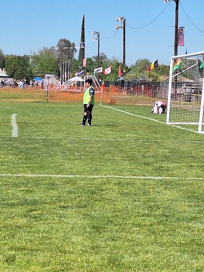 Soccer Field image 1