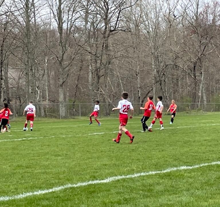 Soccer Field image 2