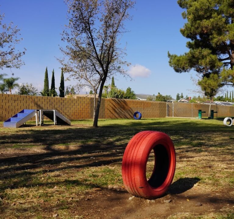 Soccer Field image 2