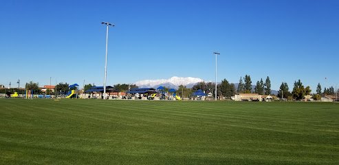 Soccer Field image 1