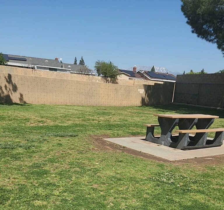 Soccer Field image 4