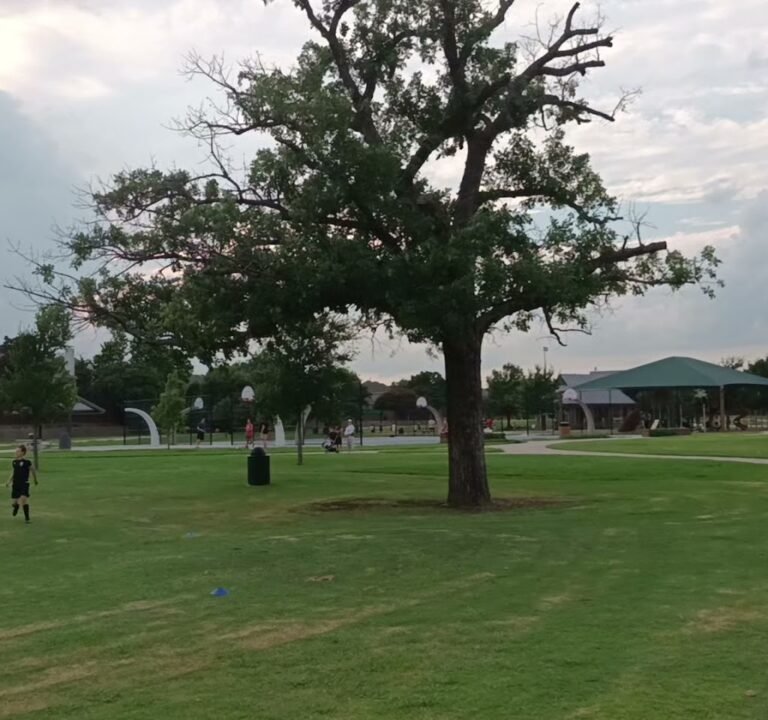 Soccer Field image 4