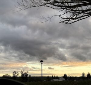 Soccer Field image 3