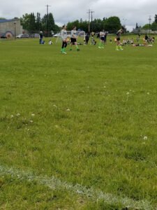 Soccer Field image 1